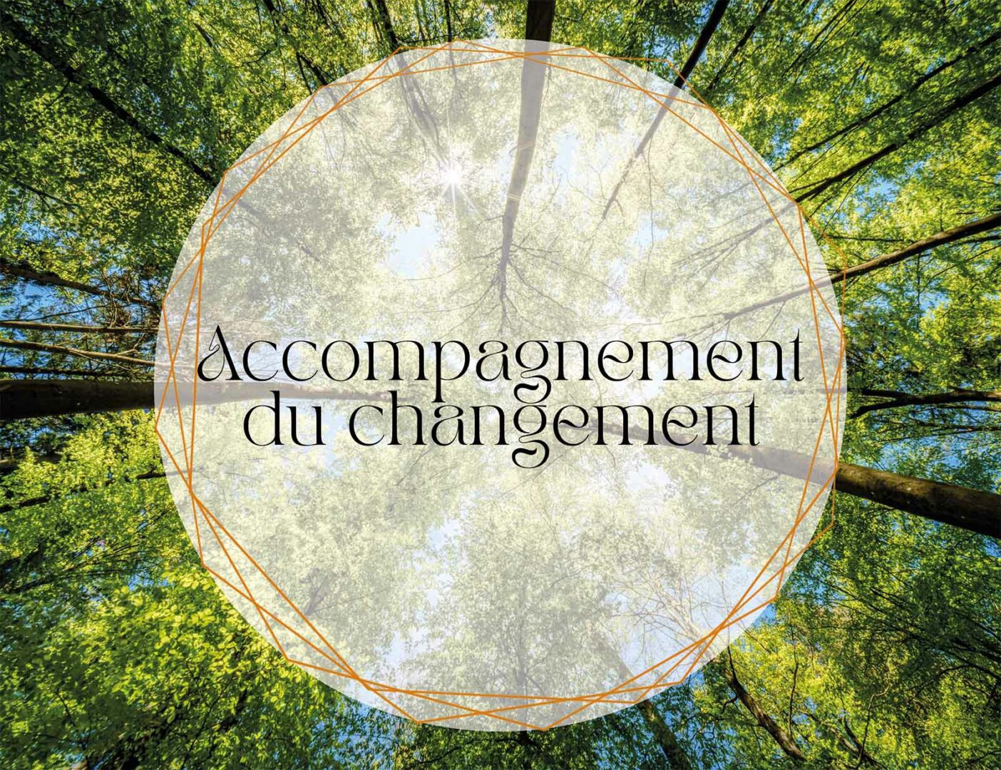 Accompagnement du changement avec Louison Chelim, coach professionnelle en Essonne