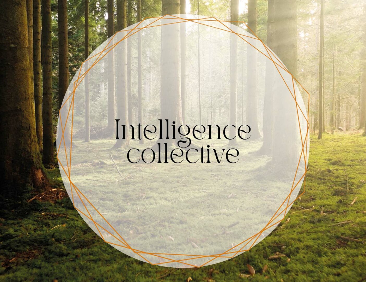 Intelligence collective avec Louison Chelim, coach professionnelle en Essonne