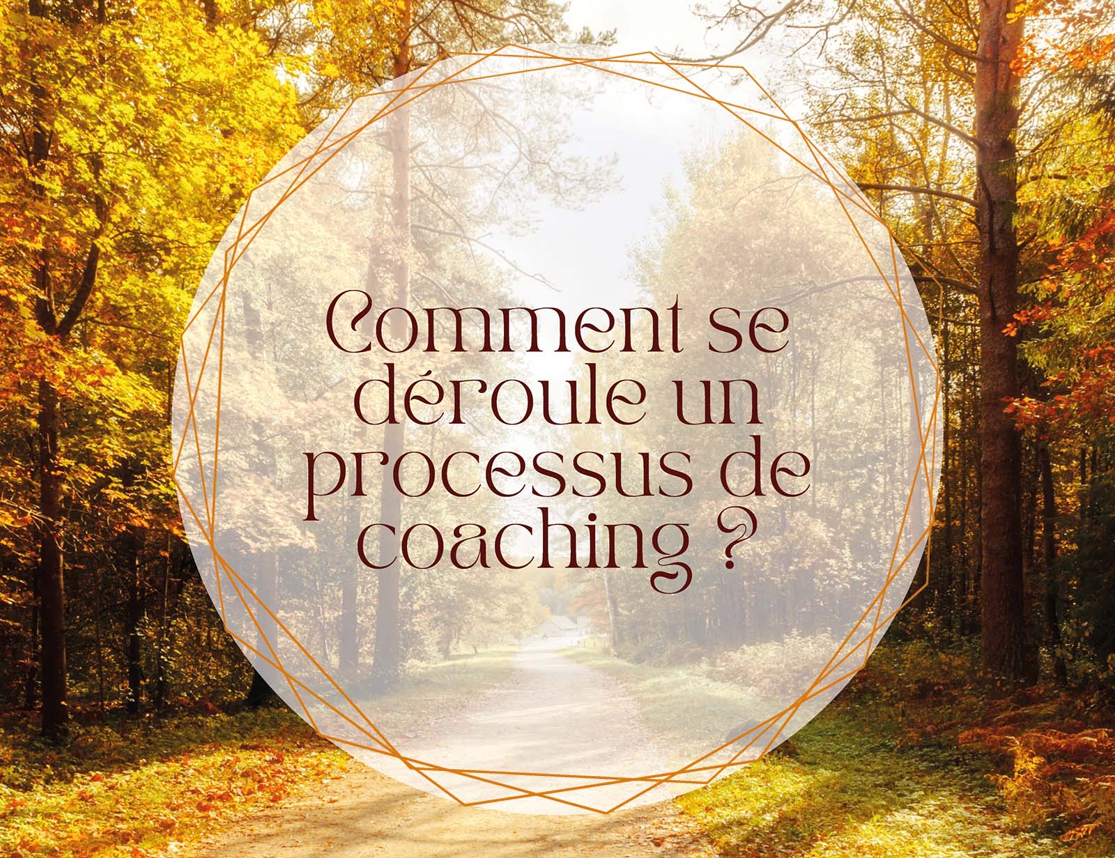 Comment se déroule un processus de coaching professionnel individuel en Essonne avec Louison Chelim, coach professionnelle certifiée