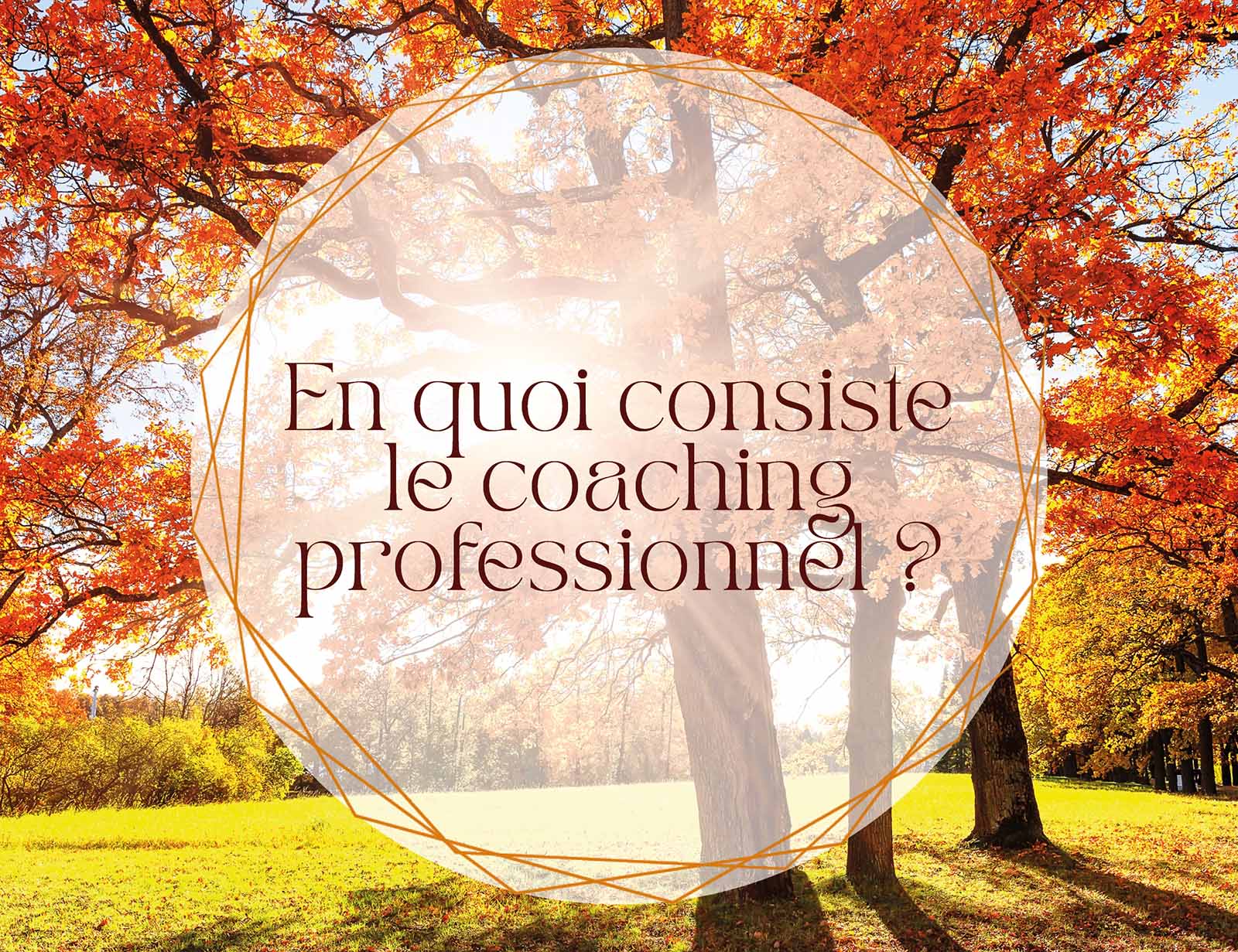 En quoi consiste le coaching professionnel individuel en Essonne avec Louison Chelim, coach professionnelle certifiée