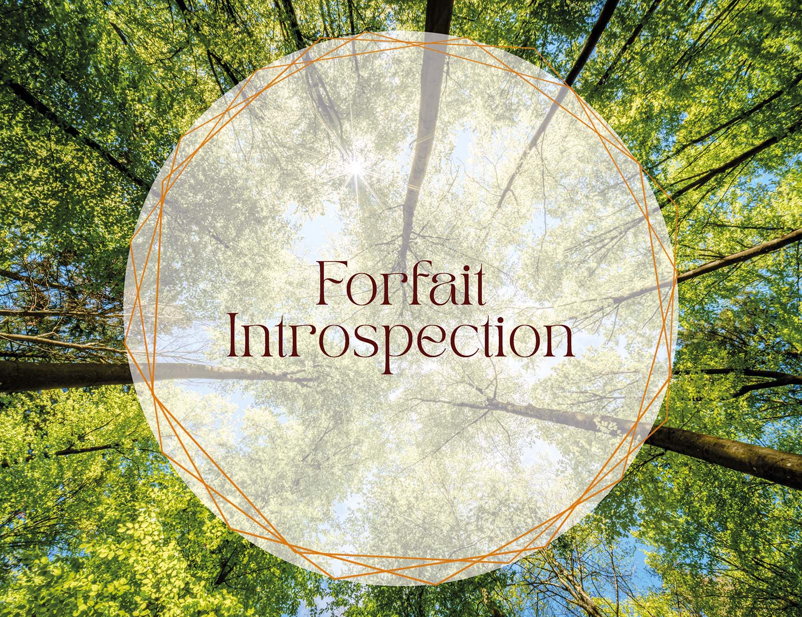 Forfait de coaching professionnel introspection