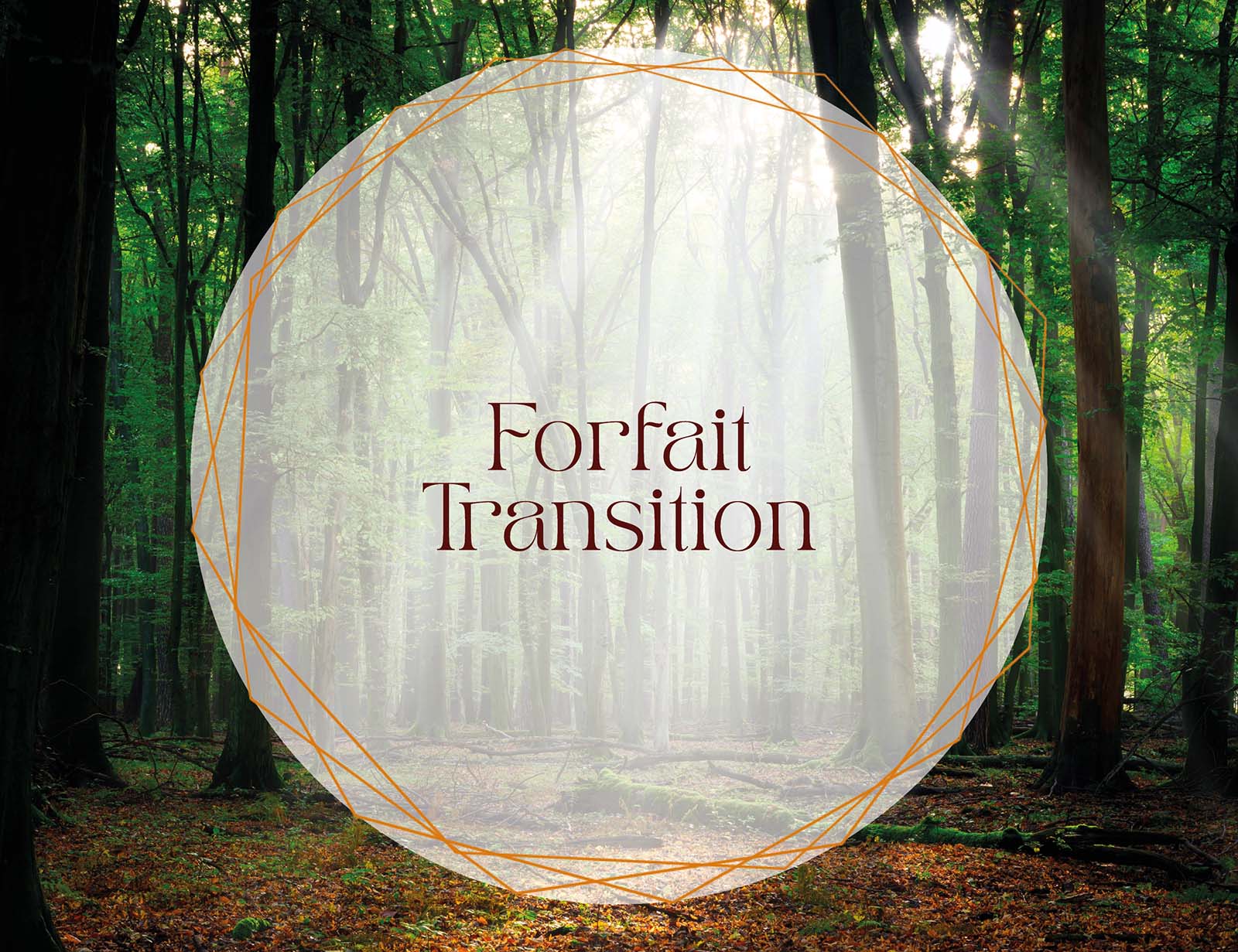 Forfait de coaching professionnel transition