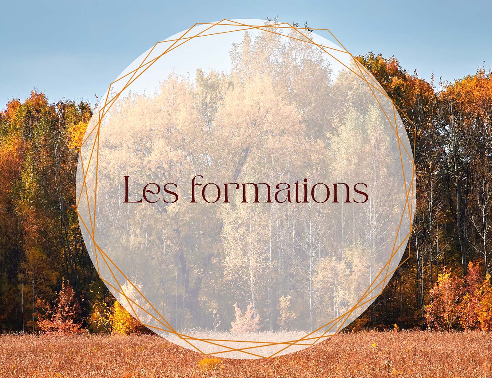 Ateliers, formations & séminaires en Essonne, formations conçues et animées par Louison Chelim, coach professionnelle certifiée et formatrice en Ile de France